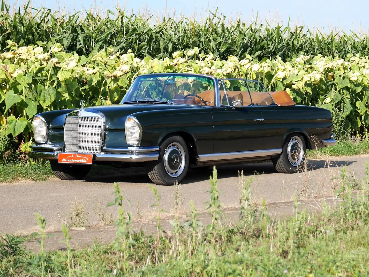Mercedes-Benz 250 SE 5.0-V8 Cabriolet Zöld - 1