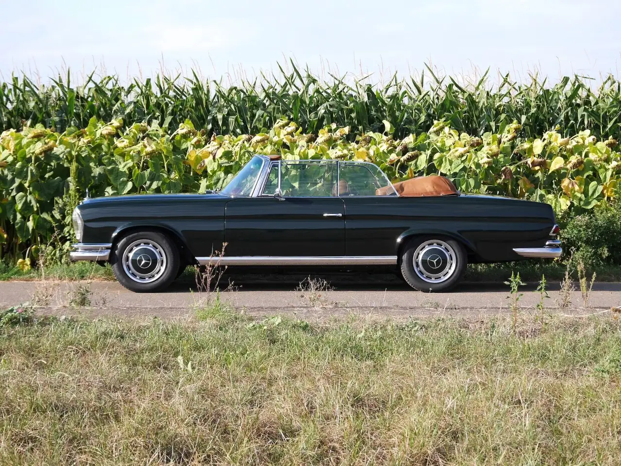 Mercedes-Benz 250 SE 5.0-V8 Cabriolet, foto 2