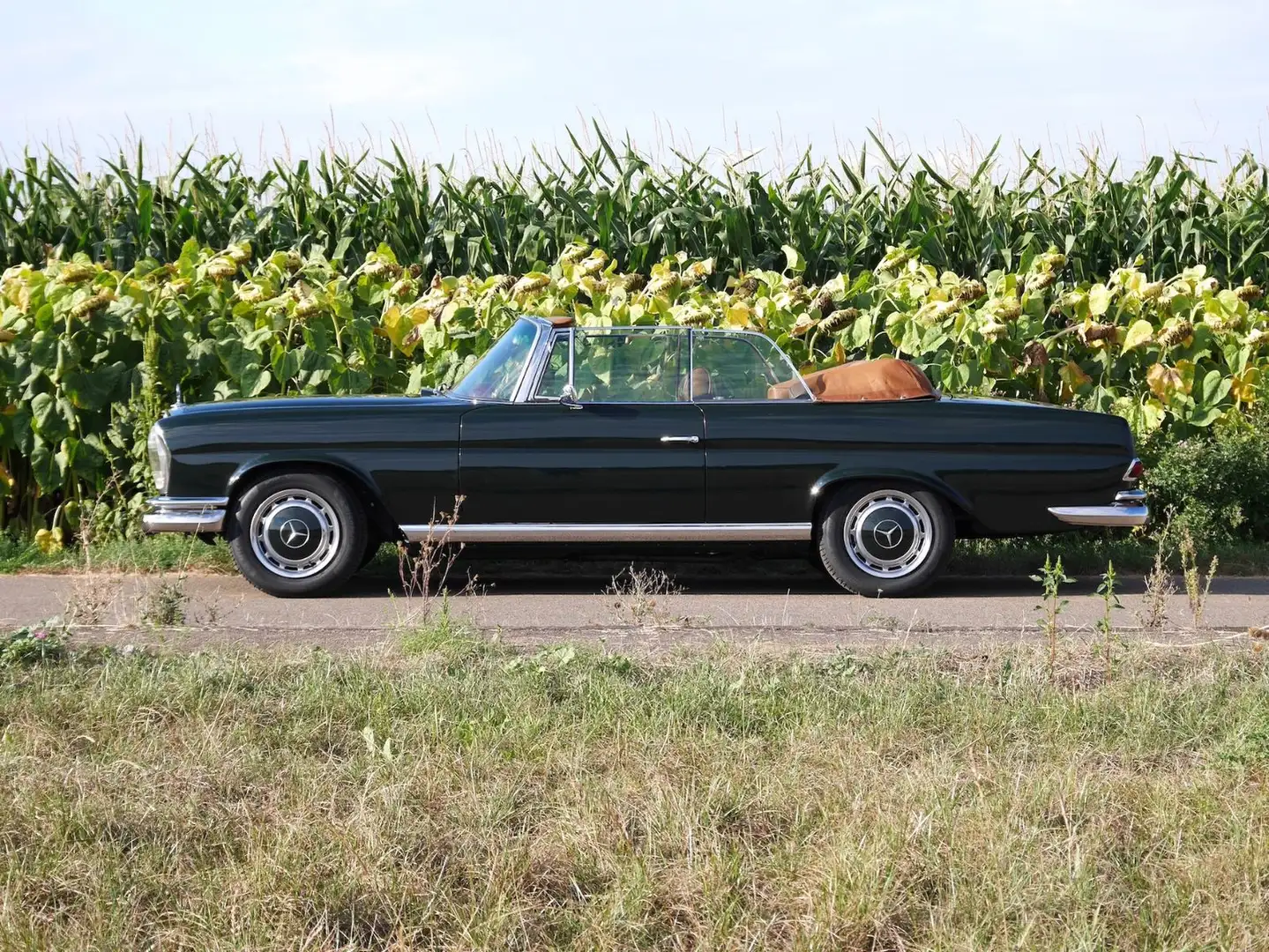 Mercedes-Benz 250 SE 5.0-V8 Cabriolet Zöld - 2