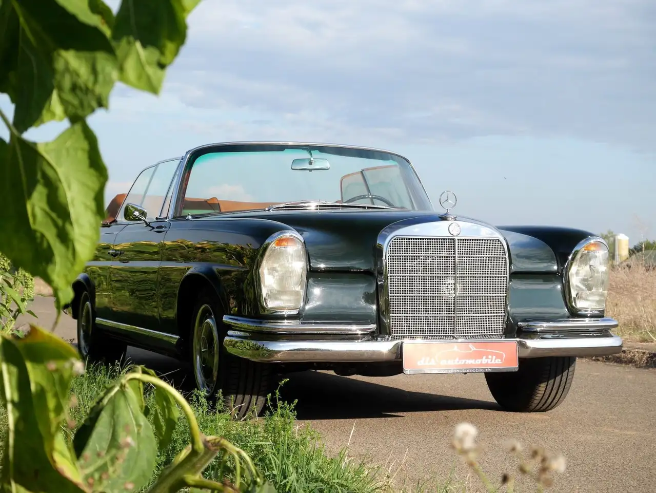 Mercedes-Benz 250 SE 5.0-V8 Cabriolet, foto 11
