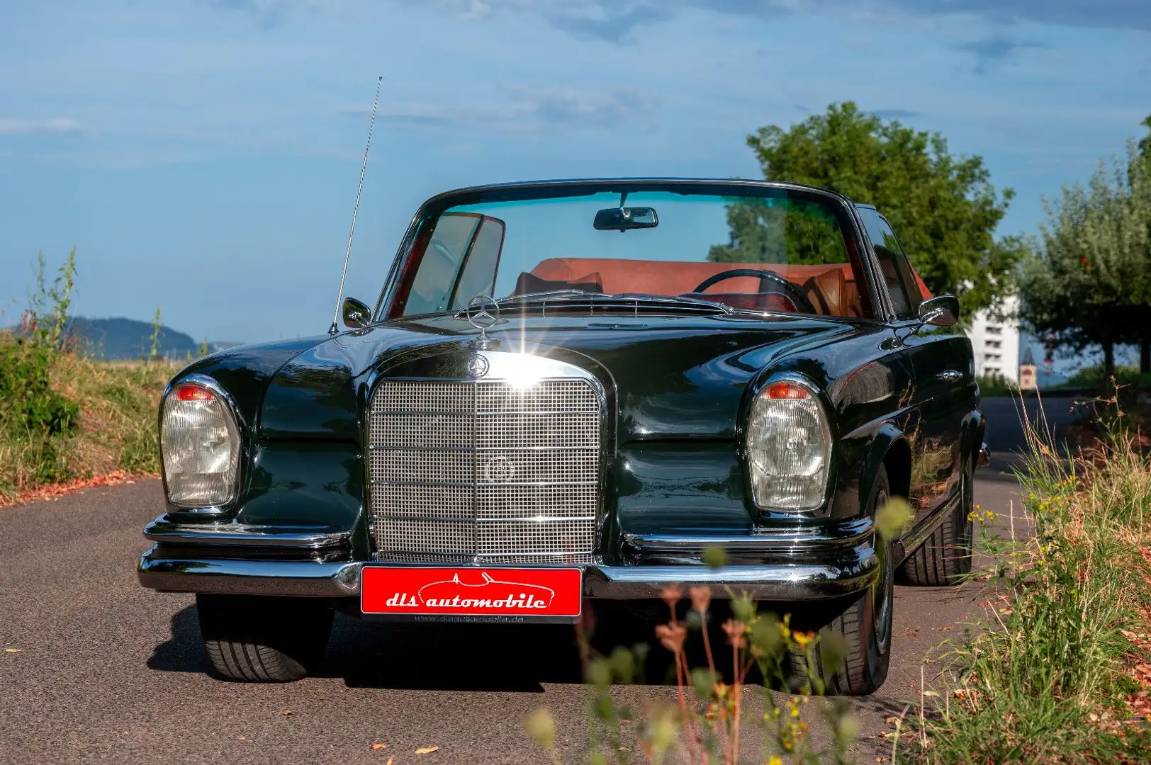 Mercedes-Benz 250 SE 5.0-V8 Cabriolet Verde - 1