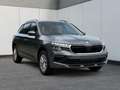 Skoda Kamiq Selection SHZ+KAMERA+SMARTLINK+PDC+LED+16" ALU ... Grau - thumbnail 29