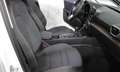 SEAT Leon 1.5 TSI Xcellence Bianco - thumbnail 14