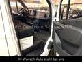 Mercedes-Benz Sprinter 214 CDI L2 FWD Top Zustand Klima Kamera Blanc - thumbnail 12