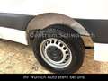 Mercedes-Benz Sprinter 214 CDI L2 FWD Top Zustand Klima Kamera Blanc - thumbnail 22
