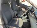 Toyota Corolla 125H Active Tech Wit - thumbnail 11