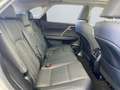 Lexus RX 450h Executive Line *Allrad*Pano*HUD*Leder*CAM* Silber - thumbnail 20