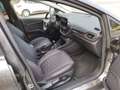 Ford Fiesta Fiesta 1.5 EcoBlue 120 CV 5 porte Vignale Gris - thumbnail 15