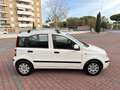 Fiat Panda 1.2 Dynamic *EURO 5 Blanc - thumbnail 9