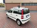 Fiat Panda 1.2 Dynamic *EURO 5 Blanc - thumbnail 6