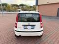 Fiat Panda 1.2 Dynamic *EURO 5 Blanc - thumbnail 5