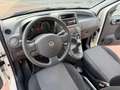 Fiat Panda 1.2 Dynamic *EURO 5 Blanc - thumbnail 14