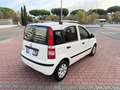 Fiat Panda 1.2 Dynamic *EURO 5 Blanc - thumbnail 7