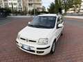 Fiat Panda 1.2 Dynamic *EURO 5 Blanc - thumbnail 1