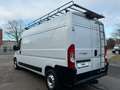 Fiat Ducato 160 L4H2 Automatik AHK DachT maxi Bianco - thumbnail 5