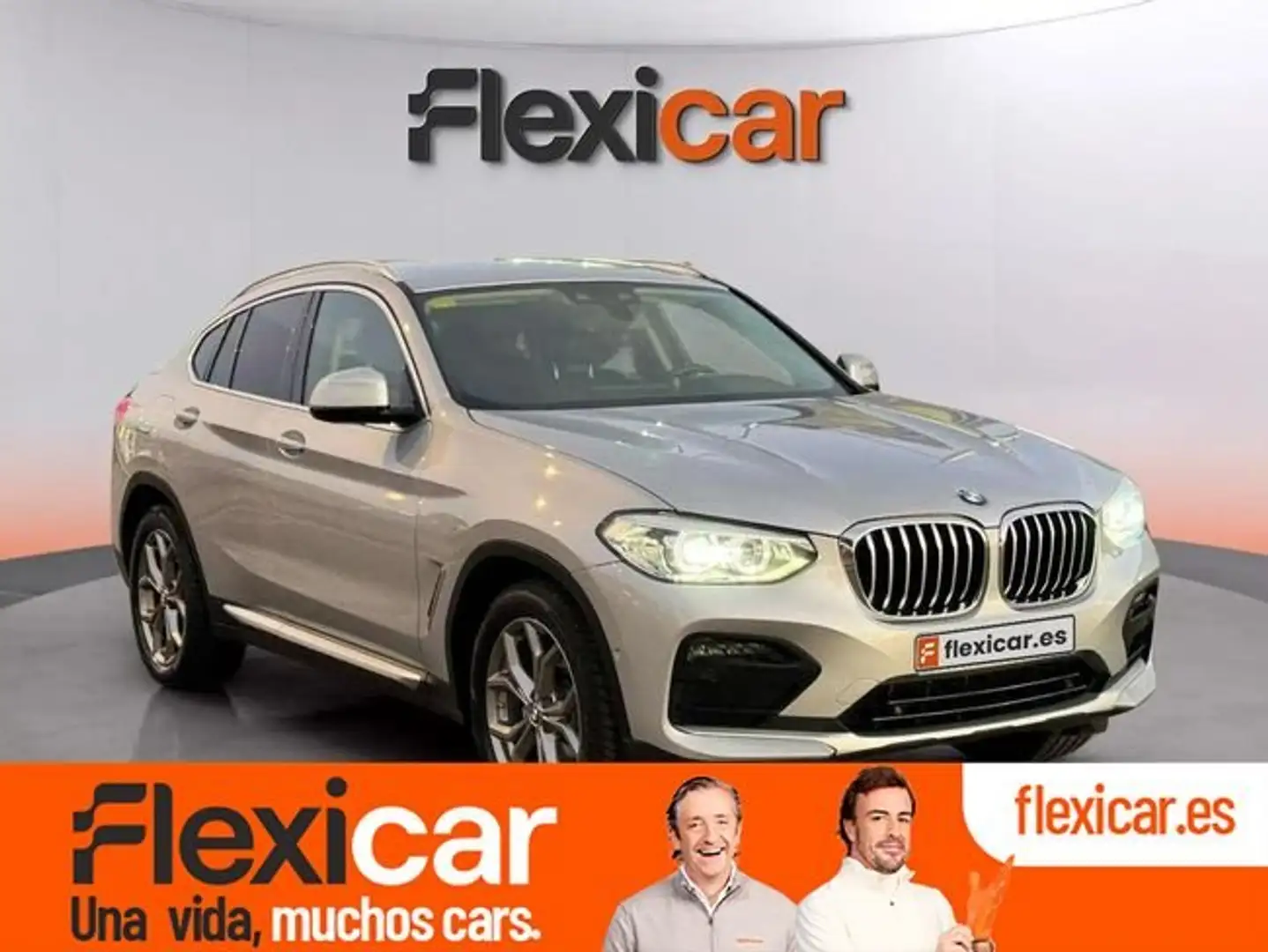 BMW X4 xDrive 20dA Gris - 1