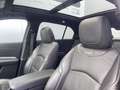Cadillac XT4 Premium Luxury AWD 350D Schwarz - thumbnail 10