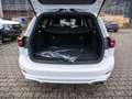 Ford Focus ST-LINE Turnier 1.0T MHEV LED*NAVI*FSH* Weiß - thumbnail 5