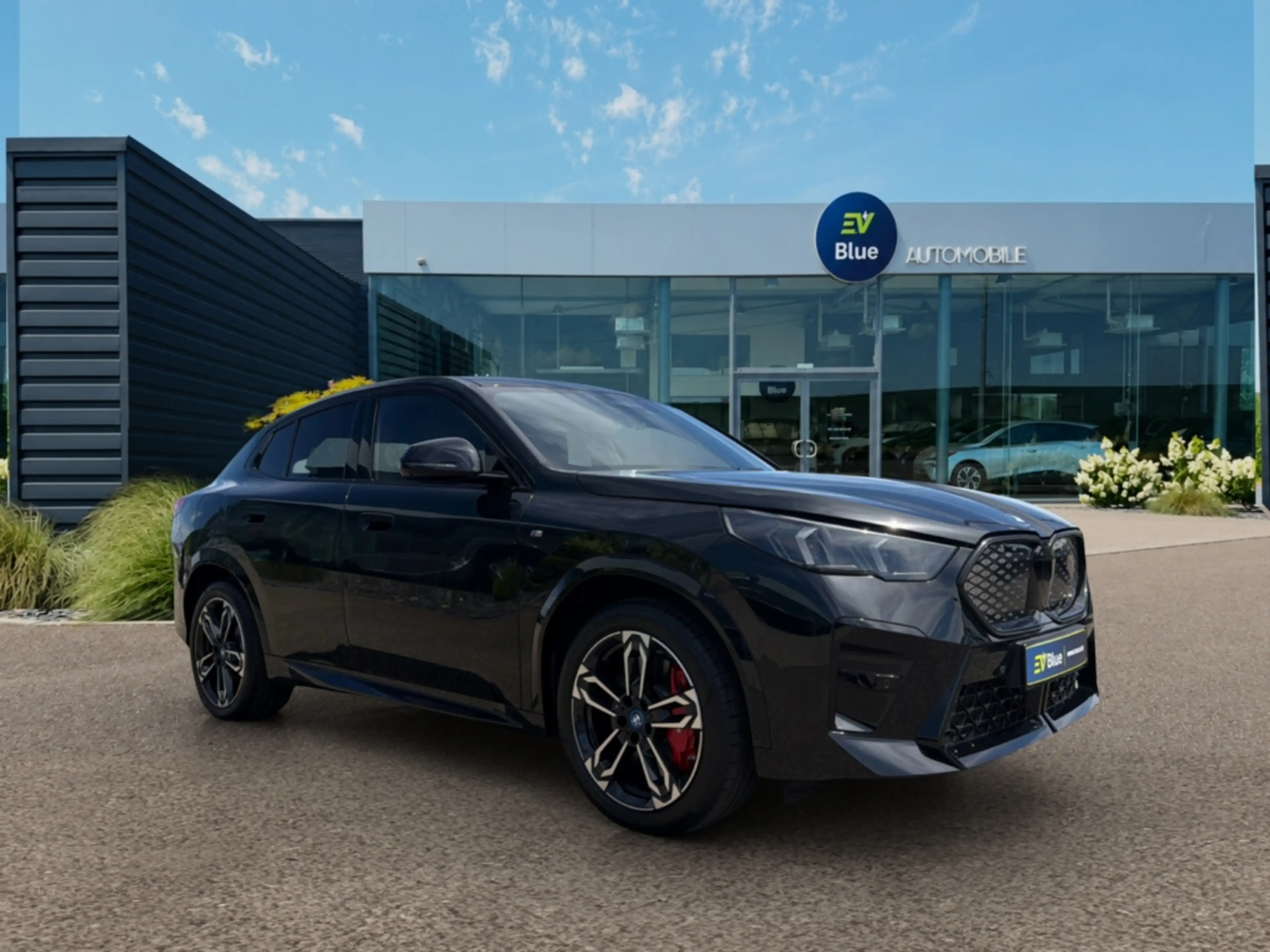 BMW iX2 eDrive20 M SPORT PRO 66.5 kWh M SPORT - HUD - 360° — photo 8