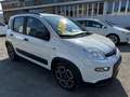 Fiat Panda 1.0 hybrid City Life s&s 70cv 5p.ti Blanc - thumbnail 2