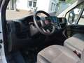 Fiat Ducato Maxi Pritsche L4H2 Pritsche Lang Klima Weiß - thumbnail 7