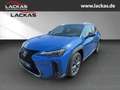 Lexus UX 250h 300h F-SPORT*INDUKTION*TOTW .*15JH-GARANTIE*NEU* Bleu - thumbnail 1