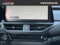 Lexus UX 250h 300h F-SPORT*INDUKTION*TOTW .*15JH-GARANTIE*NEU* Bleu - thumbnail 15