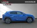 Lexus UX 250h 300h F-SPORT*INDUKTION*TOTW .*15JH-GARANTIE*NEU* Bleu - thumbnail 6