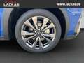 Lexus UX 250h 300h F-SPORT*INDUKTION*TOTW .*15JH-GARANTIE*NEU* Bleu - thumbnail 21
