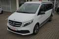 Mercedes-Benz V 220 V 220d  Marco Polo Edition LED Navi 360° Solar Blanc - thumbnail 12