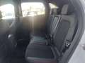 Ford Kuga ST-LINE X 5D 2.5HEV 243PS CVT FWD Weiß - thumbnail 7