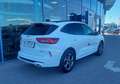Ford Kuga ST-LINE X 5D 2.5HEV 243PS CVT FWD Weiß - thumbnail 4