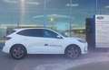 Ford Kuga ST-LINE X 5D 2.5HEV 243PS CVT FWD Weiß - thumbnail 3