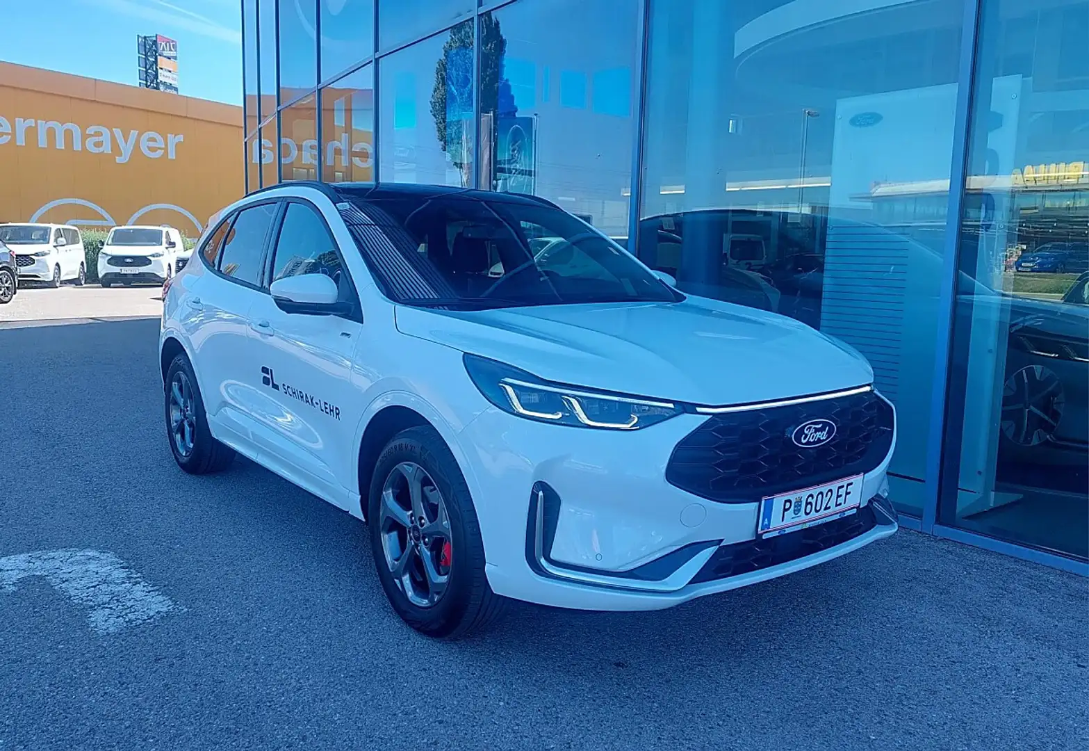 Ford Kuga ST-LINE X 5D 2.5HEV 243PS CVT FWD Weiß - 1