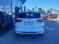 Ford Kuga ST-LINE X 5D 2.5HEV 243PS CVT FWD Weiß - thumbnail 5
