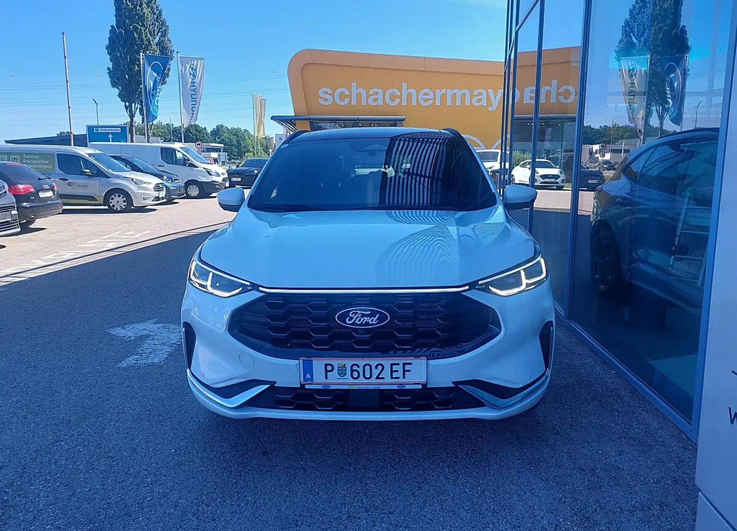 Ford Kuga ST-LINE X 5D 2.5HEV 243PS CVT FWD Weiß - 2