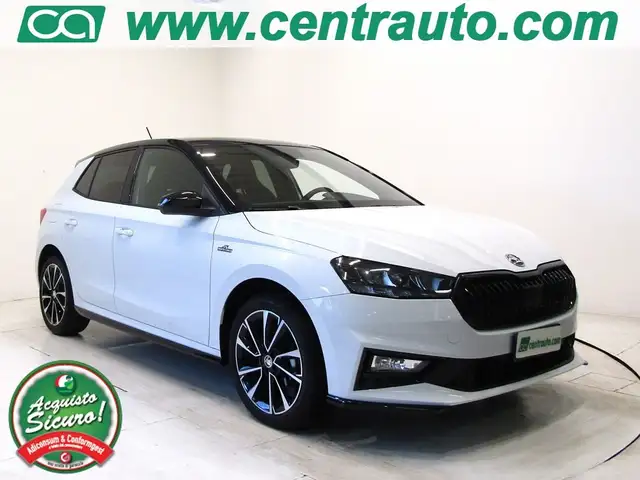 2024 Skoda Fabia in Grey for sale