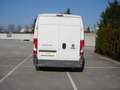 Fiat Ducato Ducato 35 L2H2 130 Weiß - thumbnail 4