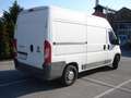Fiat Ducato Ducato 35 L2H2 130 Weiß - thumbnail 12