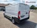 Fiat Ducato Ducato 35 | Serie2 | L2H1 140MT | 260° Öffnung White - thumbnail 3