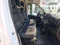 Fiat Ducato Ducato 35 | Serie2 | L2H1 140MT | 260° Öffnung White - thumbnail 11