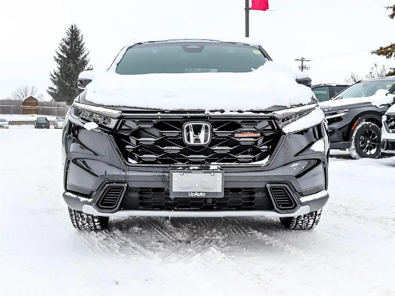 Honda CR-V снимка Honda CR-V
