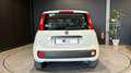 Fiat Panda 85 TwinAir Pop Blanc - thumbnail 8