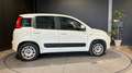 Fiat Panda 85 TwinAir Pop Blanc - thumbnail 5