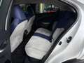 Lexus Sonstige 250 h Launch Edition LED NAV RFK SHZ ALU Weiß - thumbnail 22