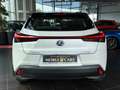 Lexus Sonstige 250 h Launch Edition LED NAV RFK SHZ ALU Weiß - thumbnail 6