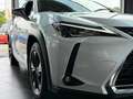 Lexus Sonstige 250 h Launch Edition LED NAV RFK SHZ ALU Weiß - thumbnail 24