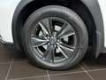 Lexus Sonstige 250 h Launch Edition LED NAV RFK SHZ ALU Weiß - thumbnail 25