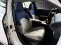 Lexus Sonstige 250 h Launch Edition LED NAV RFK SHZ ALU Weiß - thumbnail 20