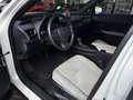 Lexus Sonstige 250 h Launch Edition LED NAV RFK SHZ ALU Weiß - thumbnail 8